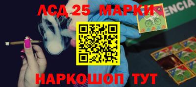 шишки Жуковский