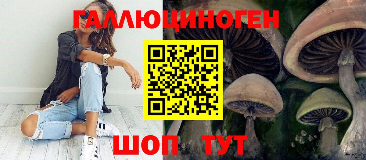Магадан  Галлюциногенные грибы Magic Shrooms  Галлюциногенные грибы Magic Shrooms  Вход с VPN 